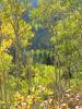 PICTURES/Grand Tetons - Death Canyon Trail/t_Death Canyon Trail-Scenery.JPG